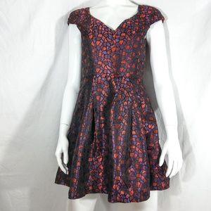 NWT Alice's Pig Shiny Flared Dress